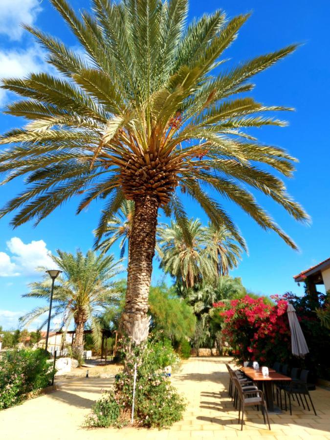 Golden Palms Guest House&Cafe Famagouste Extérieur photo