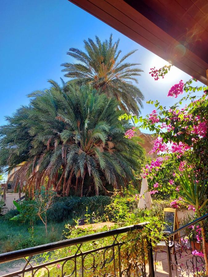 Golden Palms Guest House&Cafe Famagouste Extérieur photo