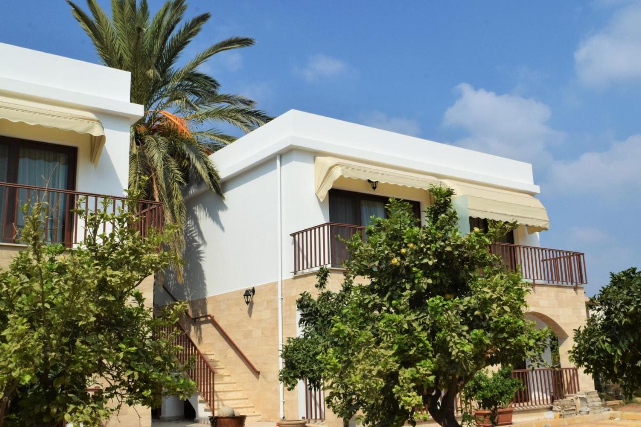 Golden Palms Guest House&Cafe Famagouste Extérieur photo